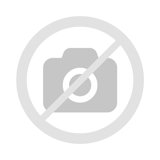 HP Latest Ultrabook Laptop with Copilot AI - 8GB RAM - Intel Core | Microsoft Office 365 Included, 192GB SSD, Webcam, Windows 11 no Mouse | Essential Laptop