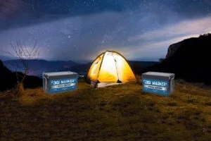 LiFePO4 Batteries Review